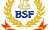BSF Group C Recruitment 2021 - Notification Out 33 Posts 3 jobs 2019 16