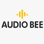 The Audio Bee Recruitment 2022