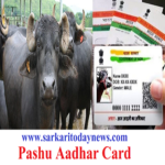 Pashu Aadhar Card Yojna 2024 - पशु आधार कार्ड योजना के लाभ व पात्रता 10 Pashu Aadhar Card