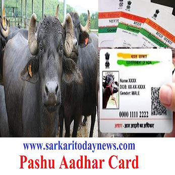 Pashu Aadhar Card 2022-23